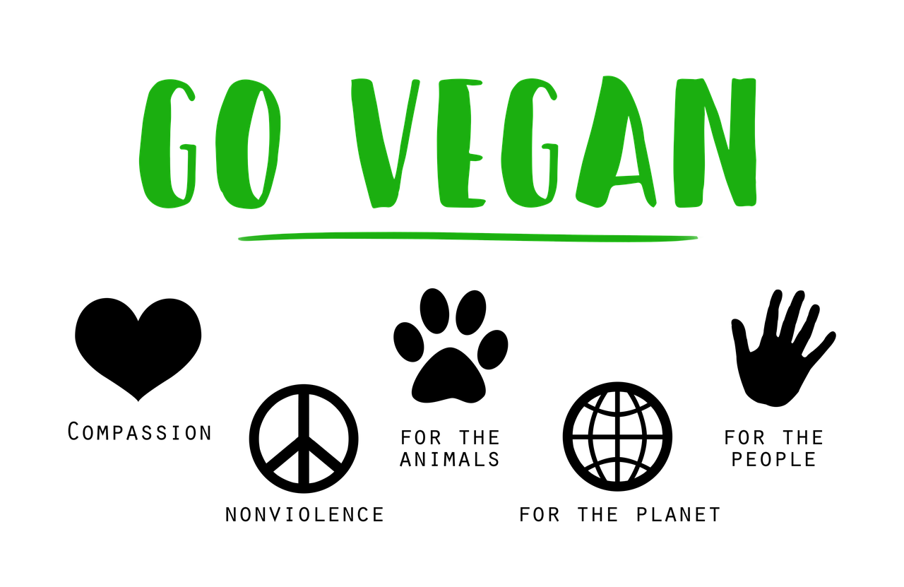 Ist vegan teuer? Warum Veganismus günstig ist • CareElite